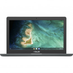 ASUS Chromebook C403NA-WS42 Intel® Celeron® N N3350 14" HD 4 GB LPDDR4-SDRAM 32 GB eMMC Wi-Fi 5 (802.11ac) ChromeOS Gray