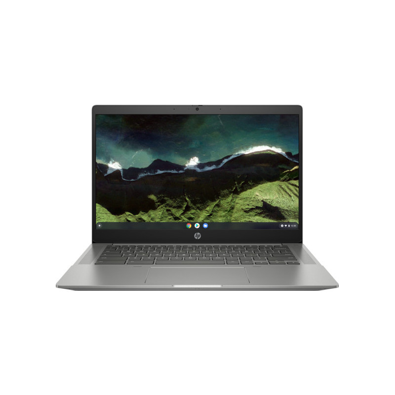 HP Chromebook 14b-nb0031wm Intel® Core™ i3 i3-1115G4 14" HD 4 GB DDR4-SDRAM 128 GB SSD Wi-Fi 6 (802.11ax) ChromeOS Silver