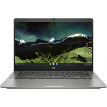 HP Chromebook 14b-nb0031wm Intel® Core™ i3 i3-1115G4 14" HD 4 GB DDR4-SDRAM 128 GB SSD Wi-Fi 6 (802.11ax) ChromeOS Silver